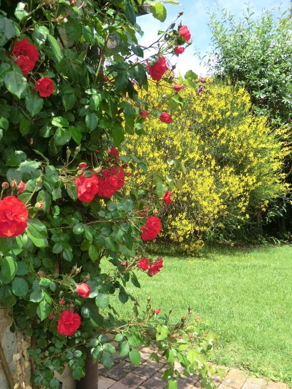 La Pieve Di San Martino Guest House Colle Val D'Elsa Exterior foto